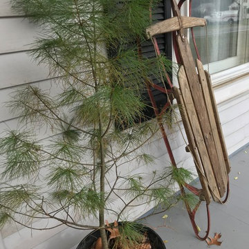 Holiday styling