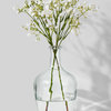 Serene Spaces Living Clear Glass Bottle Vase, Measures 6" Diameter & 10" Tall