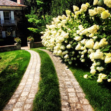 pelham backyard