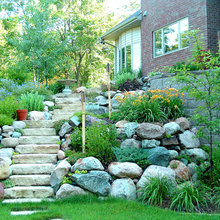 Landscaping/Yard