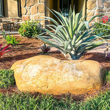Asnen Curb Appeal