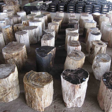PETRIFIED WOOD