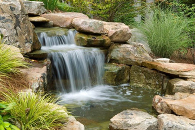 Design ideas for a southwestern landscaping in Denver.
