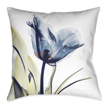 Throw Pillows