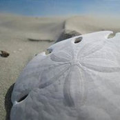 Jacki Siller's photo