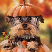 Annette Basalyga's photo