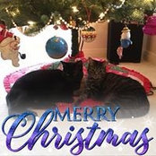 Lynn Theiss's photo