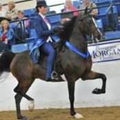 Melissa Trimble's photo
