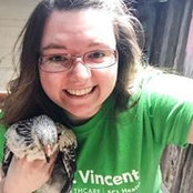 Lacey Koenig's photo