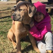 Vanessa Cane Corso's photo