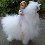 Maggie Sacco's photo