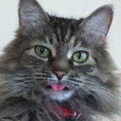 Marcella Caulfield's photo