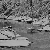 Amy Dulaney's photo