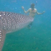 Rhys Cutler's photo