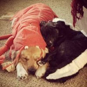 Shauna Strelow's photo
