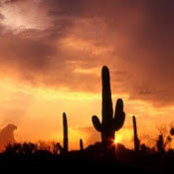 Alex Arvizu's photo