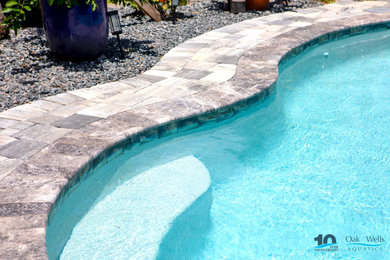 Inspiration for a pool remodel in Jacksonville