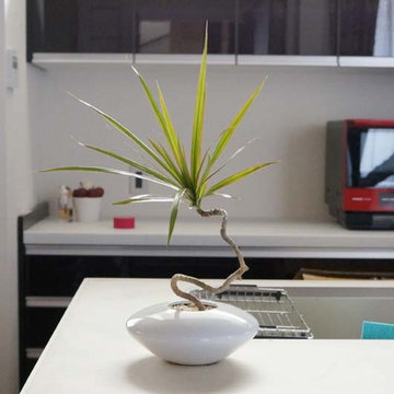 Plants.S