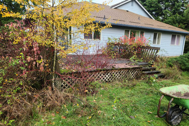 Old overgrown deck