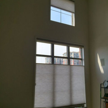 Lafayette Cellular Shades