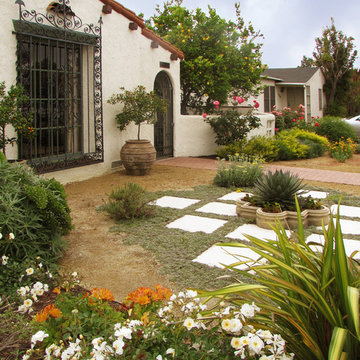 Vivacious Mediterranean Front Yard