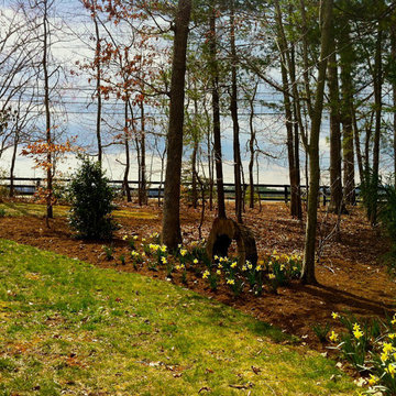 Northern Albemarle County, VA:  Deer Out, People & Plants In