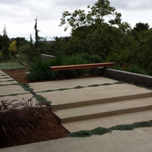 Alejandro Landscaping