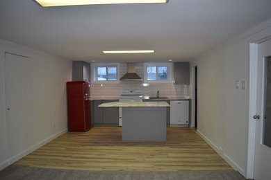 Small elegant underground vinyl floor and beige floor basement photo in Edmonton with white walls