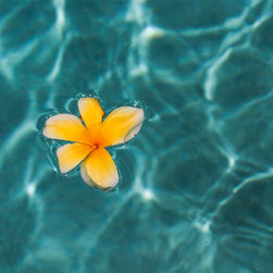 Drifting - Fine Art Prints