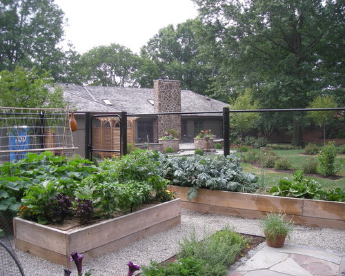 Backyard Terrace and Vegetable Garden