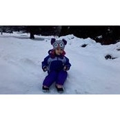Laurie Simon Workman's photo