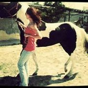 Cris D Flowerss foto