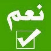 Ahmed Abdelkalik's photo