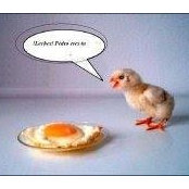 Tomas Saez's photo