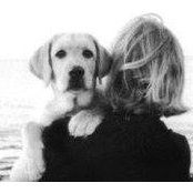Karen Moscoffian's photo