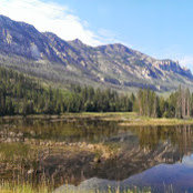 Shawn Haugen's photo