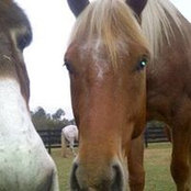Mirranda Childers's photo
