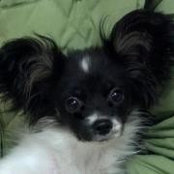 Vicki Eckstein's photo