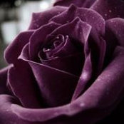Máire Gallagher's photo