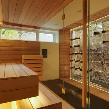 Modern Ski Home