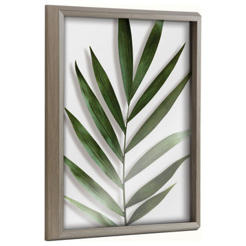 Blake Botanical 5F Framed Printed Glass by Amy Peterson, Gray 16x20