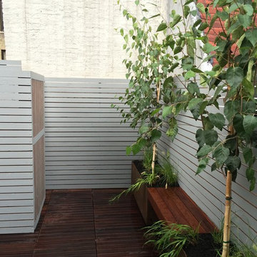Fence Cedar 1x4