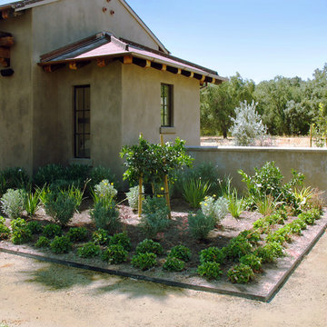 Calistoga Vineyard Villa