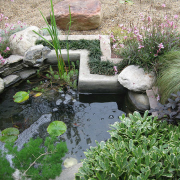 Garden for Reflection and Awareness