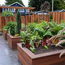 Vegetable Planter