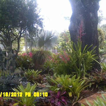 Tropical Front Entry