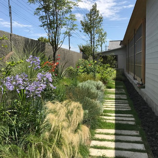 東京都下の秋のモダンスタイルのおしゃれな横庭 (半日向、天然石敷き) の写真