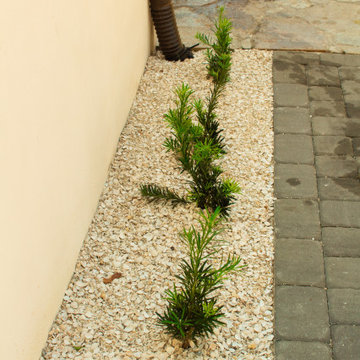 Tropical Design & Installation - South St. Petersburg