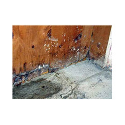 212 Water Damage Repair - Products