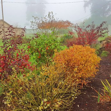 Before & After Master Gardener Makeover Design: Rain Garden around Island Lawn